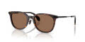 Moncler ME6013F Shiny Havana/Solid Brown (300273) Sunglasses - Color Image