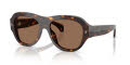 Moncler ME6015U Shiny Havana/Brown Solid (300273) Sunglasses - Color Image