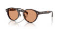 Moncler ME6017D Shiny Havana/Brown Solid (3002/7) Sunglasses - Color Image