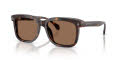 Moncler ME6018 Shiny Havana/Brown Solid (300273) Sunglasses - Color Image