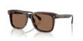Moncler ME6018F Shiny Havana/Brown Solid (300273) Sunglasses - Color Image