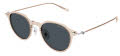 Mont Blanc MB0355S Nude / Grey Lens (004) Sunglasses - Color Image