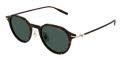 Mont Blanc MB0355S Havana/ Green Lens (002) Sunglasses - Color Image
