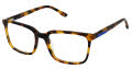 New Balance NB 570 Tortoise (2) Eyeglasses - Color Image