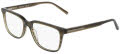 Nautica N8193 Olive Horn (315) Eyeglasses - Color Image