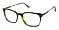 New Balance NB 563 Olive Tortoise (2) Eyeglasses - Color Image