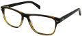 New Balance NB 521 Brown Fade (1) Eyeglasses - Color Image