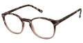 New Globe L4076 Demi Grey Eyeglasses - Color Image