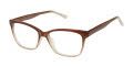 New Globe L4106 Brown Eyeglasses - Color Image