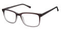 New Globe M448 Black  Eyeglasses - Color Image
