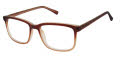 New Globe M448 Brown Eyeglasses - Color Image