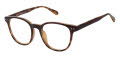 New Globe M451 Tortoise Eyeglasses - Color Image