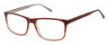 New Globe M452 Sand Eyeglasses - Color Image
