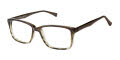 New Globe M454 Forest Eyeglasses - Color Image