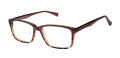 New Globe M454 Umber Eyeglasses - Color Image