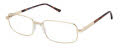 New Globe M5008 Matte Gold Eyeglasses - Color Image