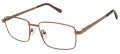 New Globe M595-P Brown Eyeglasses - Color Image