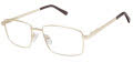 New Globe M595-P Gold  Eyeglasses - Color Image
