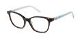 Nicole Miller Blakely Tortoise (C01) Eyeglasses - Color Image