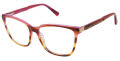 Nicole Miller Eden Roc Resort Fuchsia purple (c03) Eyeglasses - Color Image