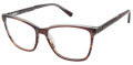 Nicole Miller Eden Roc Resort Smoke Gradient (c01) Eyeglasses - Color Image