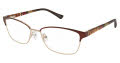Nicole Miller Evergreen Matte Brown (C02) Eyeglasses - Color Image