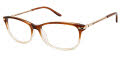 Nicole Miller Lombardy YourFit Gold / Brown (C02) Eyeglasses - Color Image