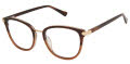 Nicole Miller Riviera Resort Umber Brown (c01) Eyeglasses - Color Image