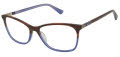 Nicole Miller Saint Tropez YourFit Resort Brown / Blue (c02) Eyeglasses - Color Image