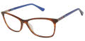 Nicole Miller Saint Tropez YourFit Resort Brown Horn (c01) Eyeglasses - Color Image