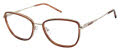 Nicole Miller Torino Gold / Brown (C01) Eyeglasses - Color Image