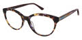 Nicole Miller York Resort Brown (C02) Eyeglasses - Color Image