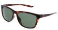 Nike City Icon P DM0081 Tortoise  / Green-Polar (221) Sunglasses - Color Image