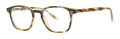 Original Penguin The Jones Liquid Tortoise Eyeglasses - Color Image