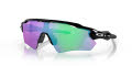 Oakley Radar EV Path Polished Black / Prizm Golf Lens (OO9208-44) Sunglasses - Color Image