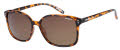 O'Neill Praia 2.0 Blonde / Tortoise 112p Sunglasses - Color Image