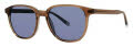 Original Penguin The Abe Sun Safari Sunglasses - Color Image