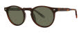 Original Penguin The Hahn Botanical-Garden Sunglasses - Color Image