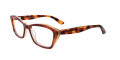 Paradox P5021 No Clip-On Lens Demi Brown (010) Eyeglasses - Color Image