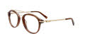 Paradox P5027 No Clip-On Lens Brown & Black & Gold (010) Eyeglasses - Color Image