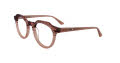 Paradox P5033 No Clip-On Lens Brown Crystal & Light Brown (010) Eyeglasses - Color Image