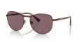 Persol PO1002S Shiny Brown / Dark Violet Polarized (1124AF) Sunglasses - Color Image