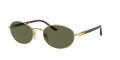 Persol PO1018S Gold / Polar Green (515/58) Sunglasses - Color Image