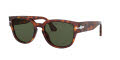 Persol PO3231S Havana / Green Lens (24/31) Sunglasses - Color Image