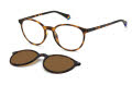 Polaroid Pld 6137/CS Havana / Bronze Polarized (0086/SP) Sunglasses - Color Image