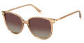 Polaroid PLD 4170/G/S/X Gold / Brown Shaded (J5G/LA) Sunglasses - Color Image