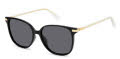 Polaroid PLD 4170/G/S/X Gold Grey / Grey Polarized (2F7/M9) Sunglasses - Color Image