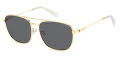 Polaroid PLD 4172/G/S/X Gold Grey / Grey Polarized (2F7/M9) Sunglasses - Color Image