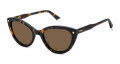 Polaroid PLD 4175/S/X Havana / Bronze Polarized (0086/SP) Sunglasses - Color Image