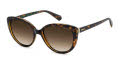 Polaroid PLD 4176/S/X Havana / Brown Shaded (0086/LA) Sunglasses - Color Image
